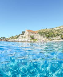 Hvar and Pakleni islands private boat tour from Split